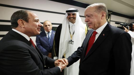 مفاجأة بالعلاقات الدبلوماسية بين مصر وتركيا.. تعرف على التفاصيل