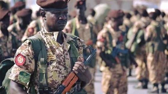 وزير الدفاع السوداني يؤكد وصول قوة سودانية كدفعة ثانية إلى عدن