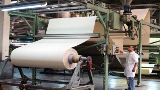 السعودية تدرس إنشاء مصنع للصناعات الورقية والتعبئة بمصر